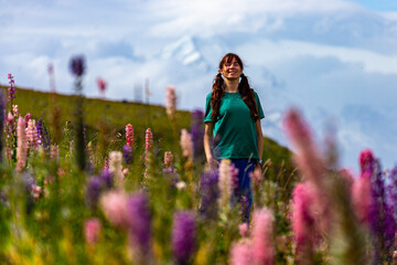 hiker girl standing on the field of lupin flowers with mighty peak of mount cook in front of her;...