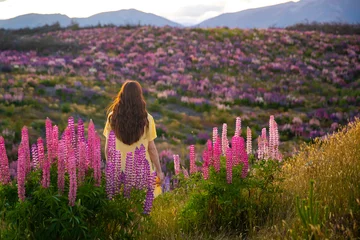 Cercles muraux Aoraki/Mount Cook beautiful girl in yellow dress enjoying a walk in the field of lupins on sunset  colorful flowers of lupins blooming near lake pukaki, canterbury, new zealand