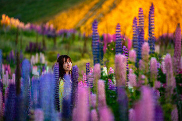 beautiful girl in yellow dress enjoying a walk in the field of lupins on sunset; colorful flowers...