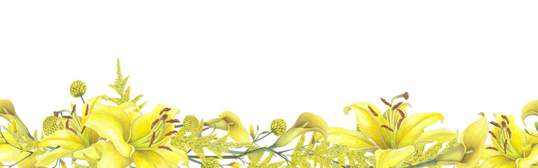 Lilies Yellow flower, calla lilies, craspedia seamless border isolated on white background. Watercolor hand drawn botanic illustration. Art design wedding invitation, greeting card, decoration graphic