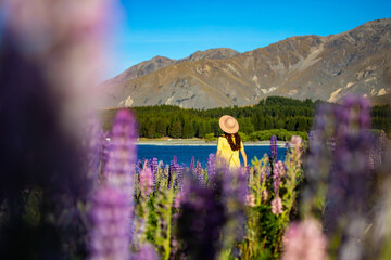beautiful girl in yellow dress and hat standing on the field of colorful lupins and enjoying the...