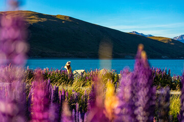 beautiful girl in yellow dress and hat standing on the field of colorful lupins and enjoying the...