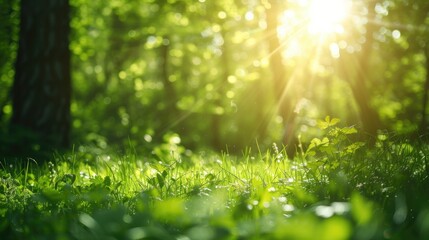 Defocused green trees in forest or park with wild grass and sun beams. Beautiful summer spring natural background. - Powered by Adobe