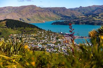 panorama of farmous lyttelton harbor and banks peninsula seen from the bridle path near gondola...