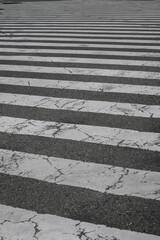 横断歩道