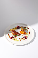 Elegantly plated duck fillet with onion marmalade and pumpkin puree on a white background, highlighted by a natural light shadow