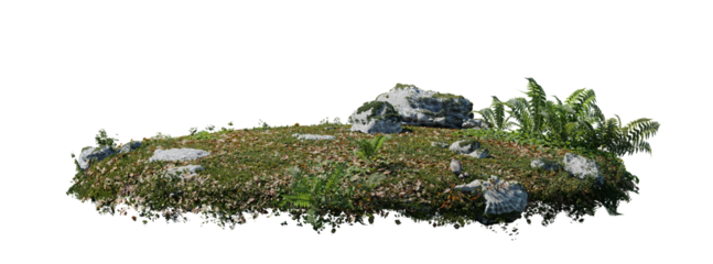 round surface patch covered with flowers, green leaf rock fern or dry grass isolated on white background. Realistic natural element for design. Bright 3d illustration.