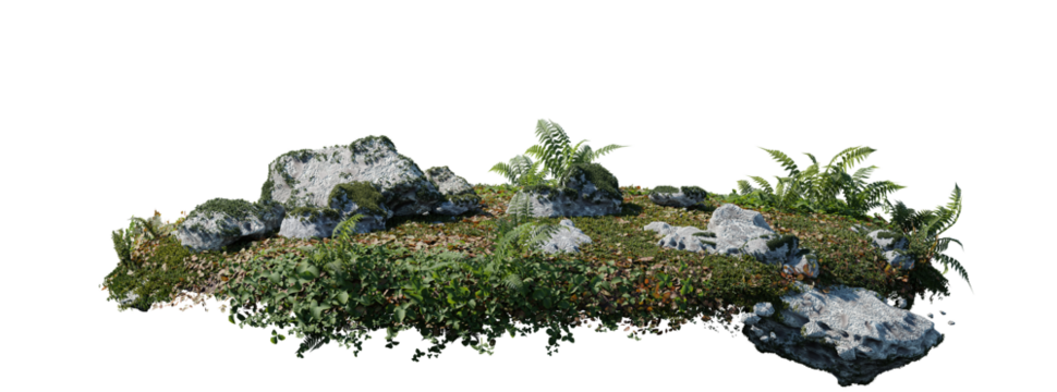 round surface patch covered with flowers, green leaf rock fern or dry grass isolated on white background. Realistic natural element for design. Bright 3d illustration.