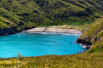 panorama of tumbledown bay in banks peninsula near christchurch, canterbury, new zealand south...