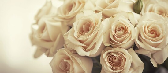 Vintage toned closeup photo of white roses in a bouquet isolated on a white background.