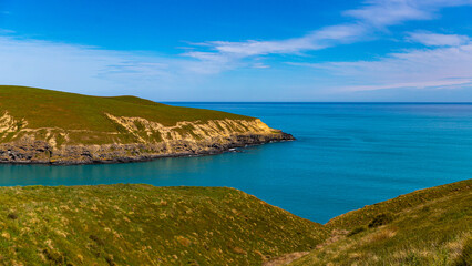panorama of tumbledown bay in banks peninsula near christchurch, canterbury, new zealand south island; famous hidden beach with wild seals and dolphins