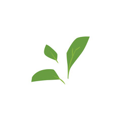 Green leaves icon, fresh herbal tea foliage, natural fragrant healing ingredient, vector botanical floral flat element