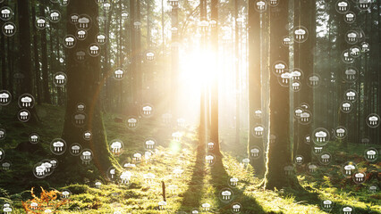 Sun beams om mossy forest landscape with illustrated carbon dioxide icons.