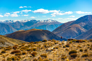 adventurous hiker girl on the way to the top of trig m, scenic peak in new zealand alps, near...