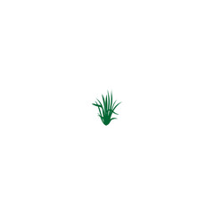 vector element grass with green color nature