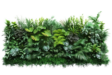 Green wall of tropical plants, cut out - stock png.