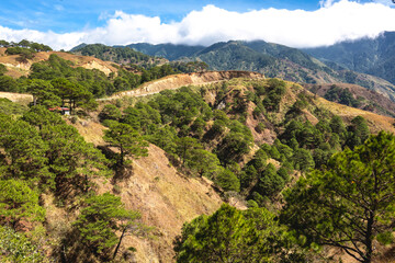 Fototapeta na wymiar Expansive view of a mountainous landscape with lush pine trees and a visible hiking trail under a blue sky. At San Nicolas, Pangasinan, part of the Cordillera mountains.