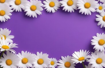 frame of daisy flowers