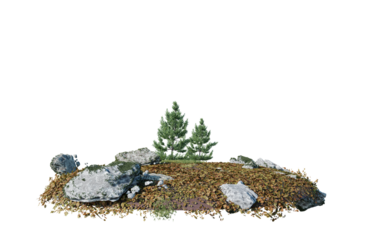 Round surface of Small Pine forest patch covered with flowers, green or dry grass isolated on transparent background. Realistic natural element for design. Bright 3d