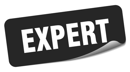 expert sticker. expert label