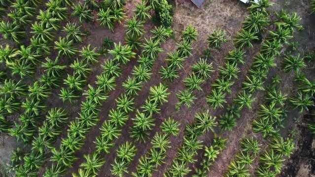 Aerial of beautiful countryside around Thailands.