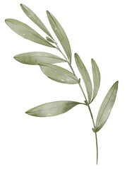 Obraz premium Watercolor green leaves