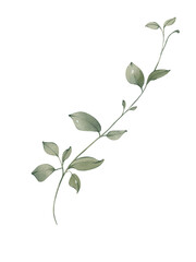 Watercolor green leaves