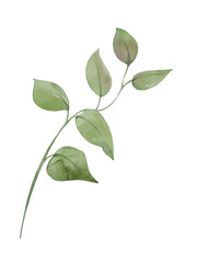 Watercolor green leaves