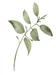 Watercolor green leaves