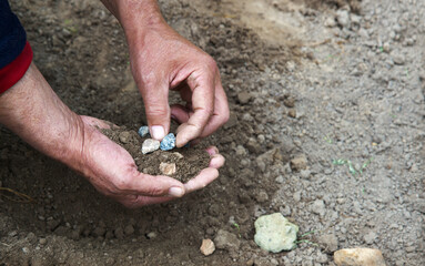 Male hands choose stones from the ground
