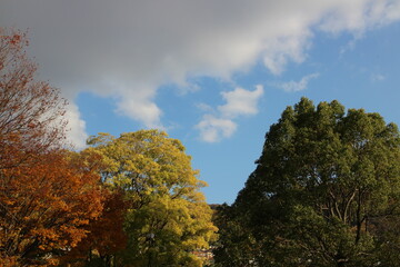 秋の風景　公園
