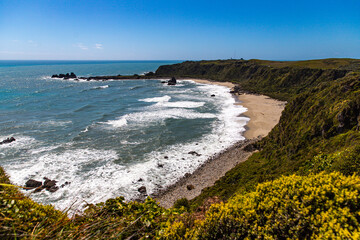 unique landscape of cape foulwind on the west coast of new zealand south island; scenic little bays with large cliffs and rocky islands; cape foulwind walkaway near westport