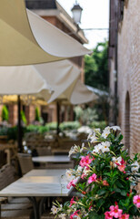 Fototapeta na wymiar Blossoming Haven: A Terrace Adorned with White and Pink Flowers