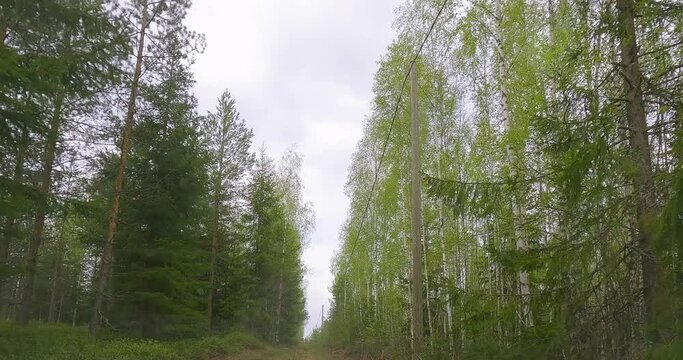 POV dring along small gravel cottage road in forest in cloudy spring weather, Yl&auml;maa, Finland.