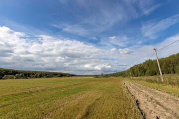 Fototapeta premium Field after agricultural harvesting, rural landscape