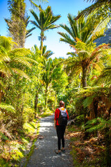 aotearoa, beautiful, bush, canyon, colorful, creek, dense, female, fern, forest, girl, gorge, green, hiker, idyllic, jungle, landscape, leafs, lush, natural, nature, new zealand, newzealand, outdoor, 