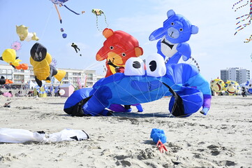 Festival du Cerf-Volant à Berck-sur-Mer