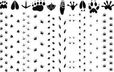 Paw print silhouette. Isolated paw print on white background