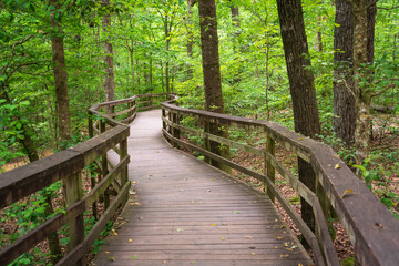 Boardwalk Trail at Congaree National Park in central South Carolina