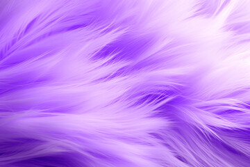 Texture of dyed violet fur  with long pile close-up, background