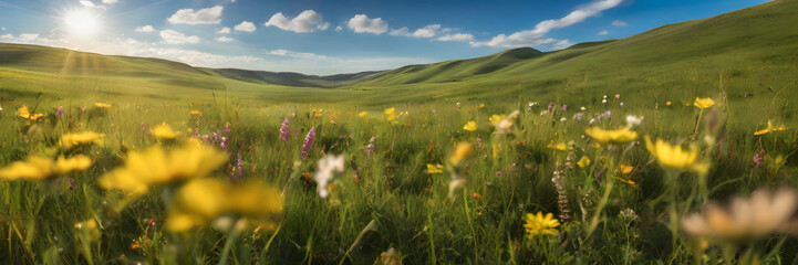 Obraz premium 3:1 banner by the swaying of various wildflowers in the spring breeze on the meadow. Good for travel promotion, product promotion, social media or websites, wedding, seasonal festivals.