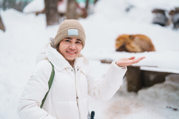 Woman tourist with Cute fox on snow in winter season at Zao fox village, traveler sightseeing...