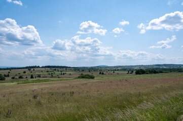 Landscape and meadow with lupins in the high Rh&ouml;n
