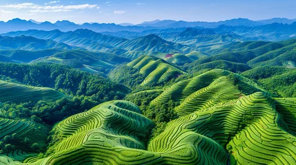 Poster Panoramic view of Asian agriculture in a mountainous landscape, showcasing the tranquil beauty of rural farms and terraced plantations amidst lush greenery and scenic forestry © MdIqbal