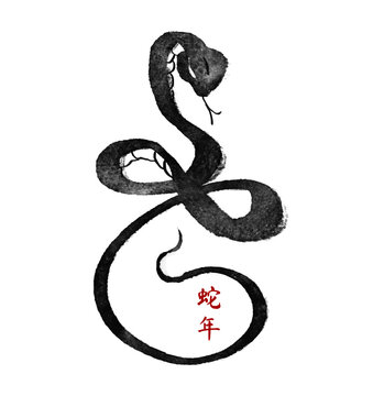 Snake. Ink hand drawn animal. Chinese Brushwork. Chinese new year symbol. Asian lunar calendar beast. Chinese text means "The year of the snake".