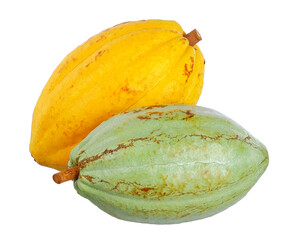 Fresh forastero cocoa fruits isolated on white background