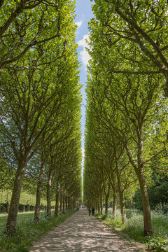 Parc de Sceaux