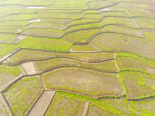 Picturesque landscape of abstract pattern of rice fields. Top view from drone of green rice terrace field with abstract shapes and patterns at Cikancung, Indonesia. Shot from a drone flying 200 meters