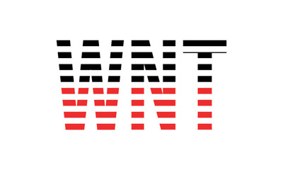 WNT three initial letter iconic line negative space minimal logo design vector template. monogram, abstract, wordmark, business, typography, minimalist, brand, company, flat, modern, unique, simple