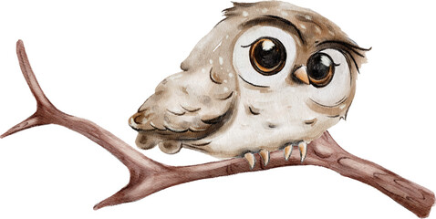 Cute watercolor owl with big eyes, sitting on a branch , png, transparent background